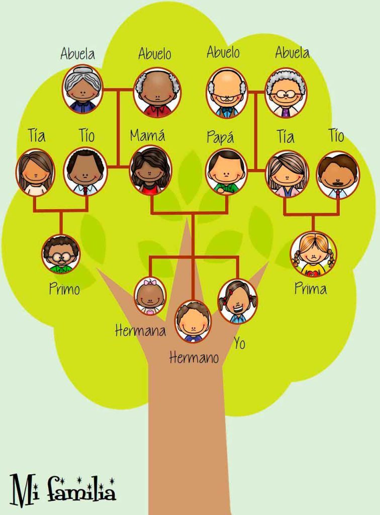 Cómo Hacer un Árbol Genealógico para Niños